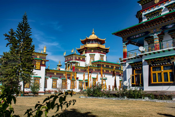 Dehradun Travel Guide – Explore the Gateway to the Hills