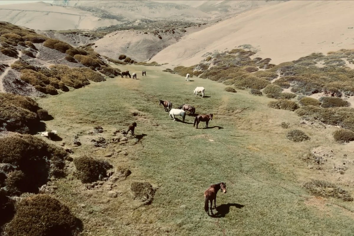 Rimkhim & Lapthal – The Grand Canyon of Uttarakhand