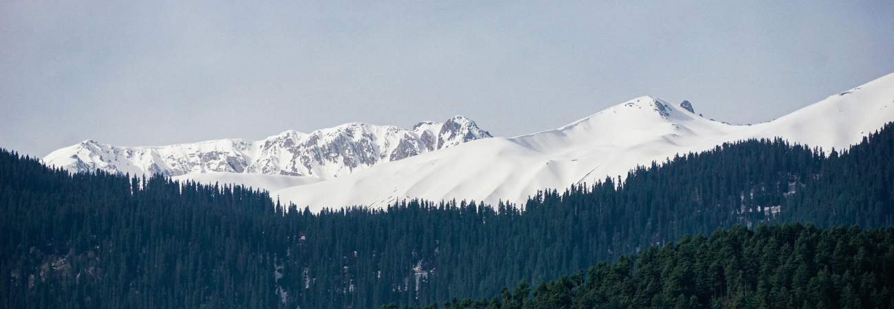 Gulmarg Tour Packages promotional banner