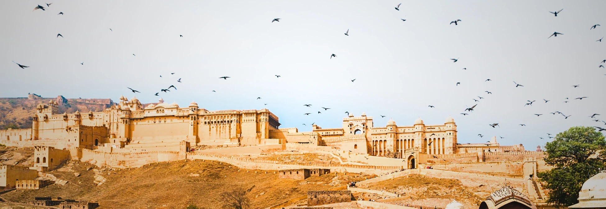 Uttar Pradesh Tour Packages promotional banner