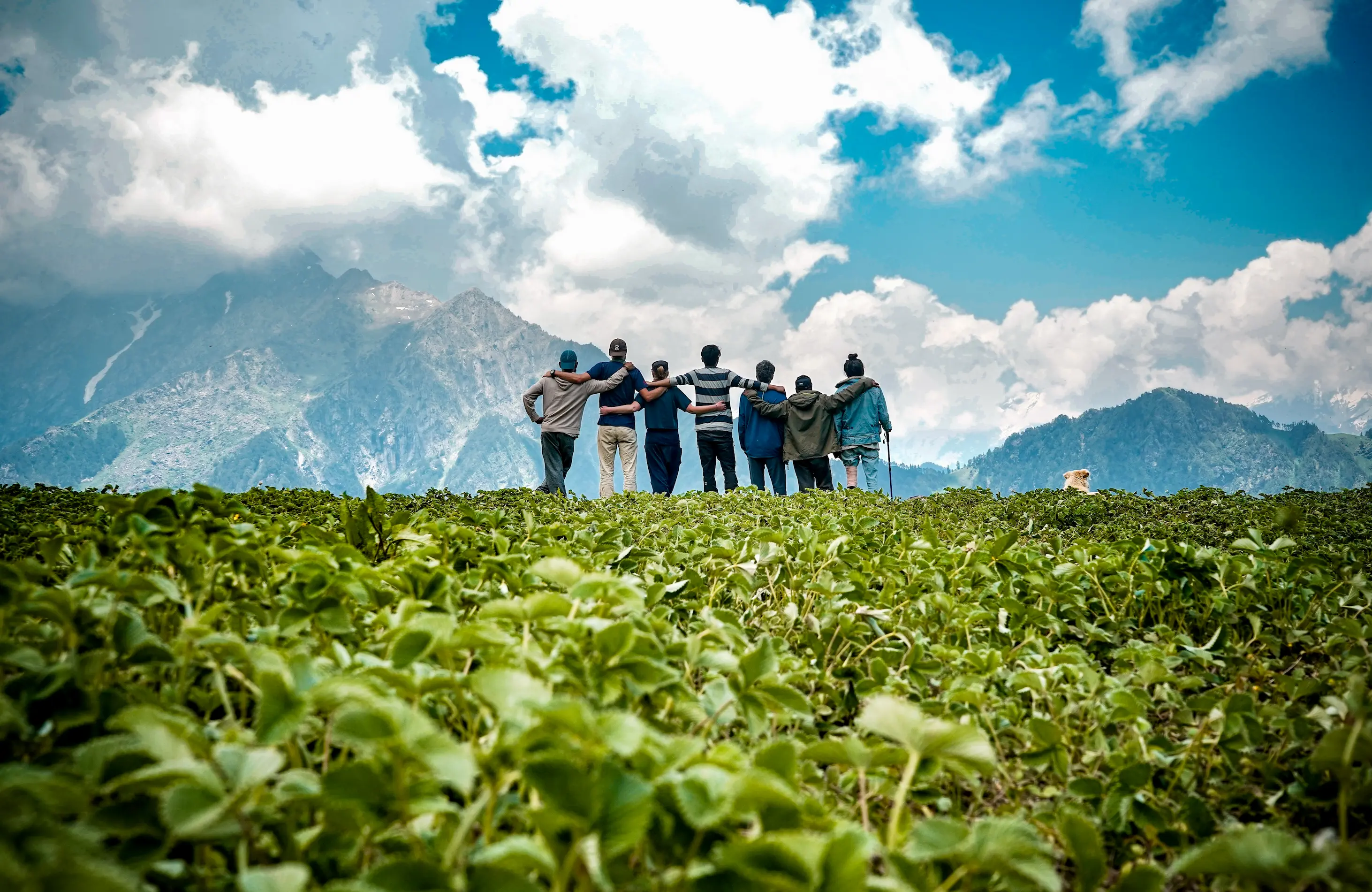 Hillstation Tour promotional banner