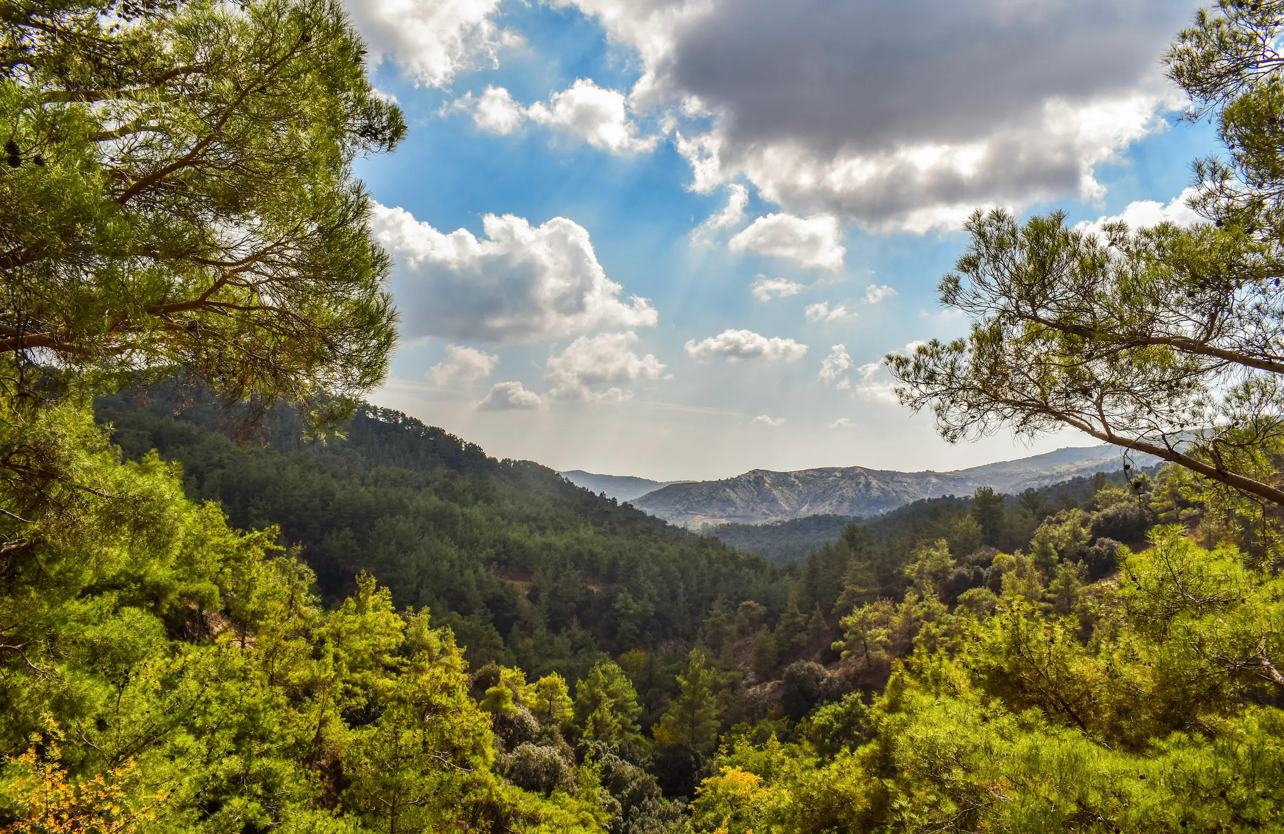 Chamba Tour Packages promotional banner