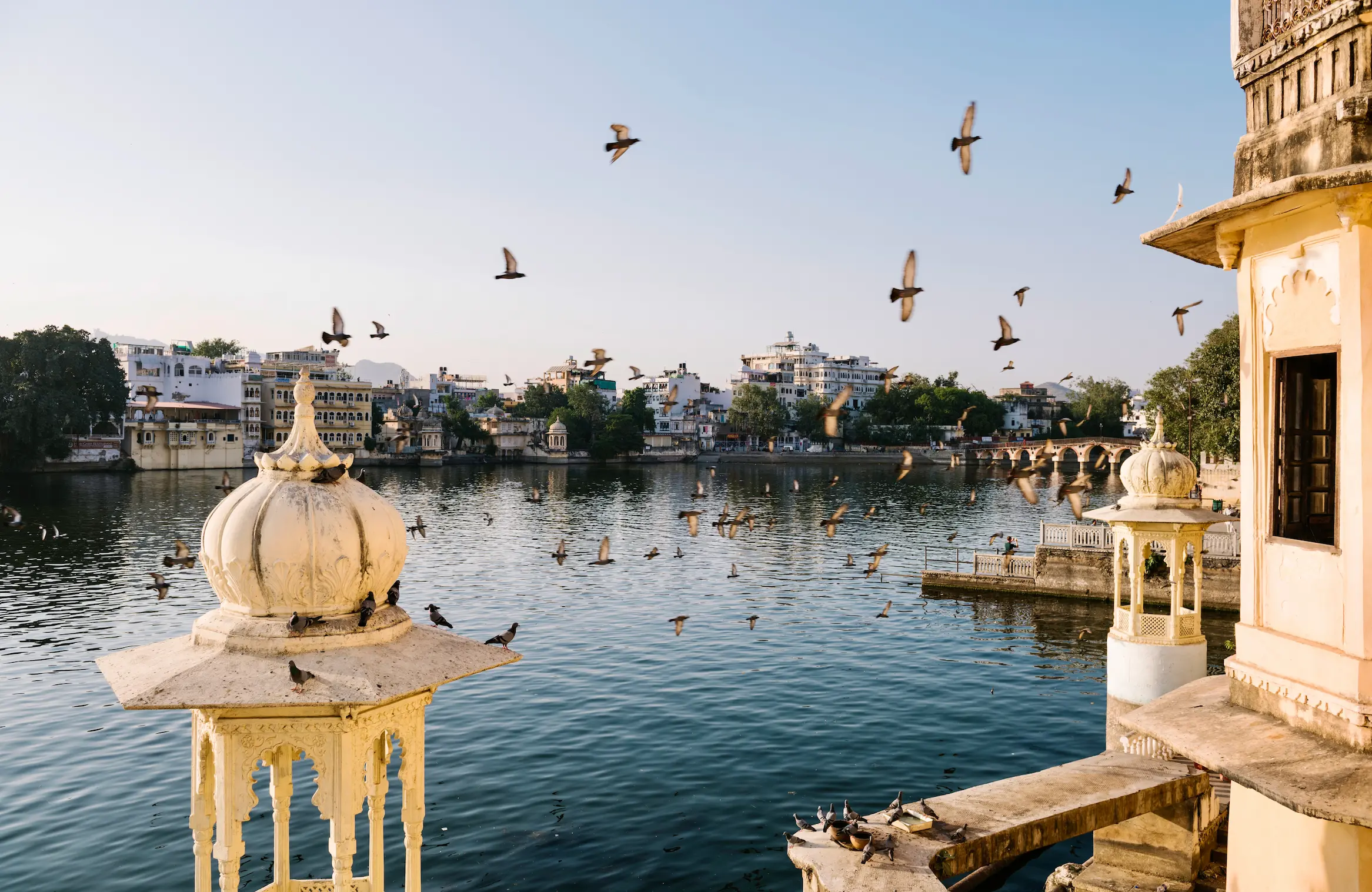 Rajasthan Tour Packages promotional banner