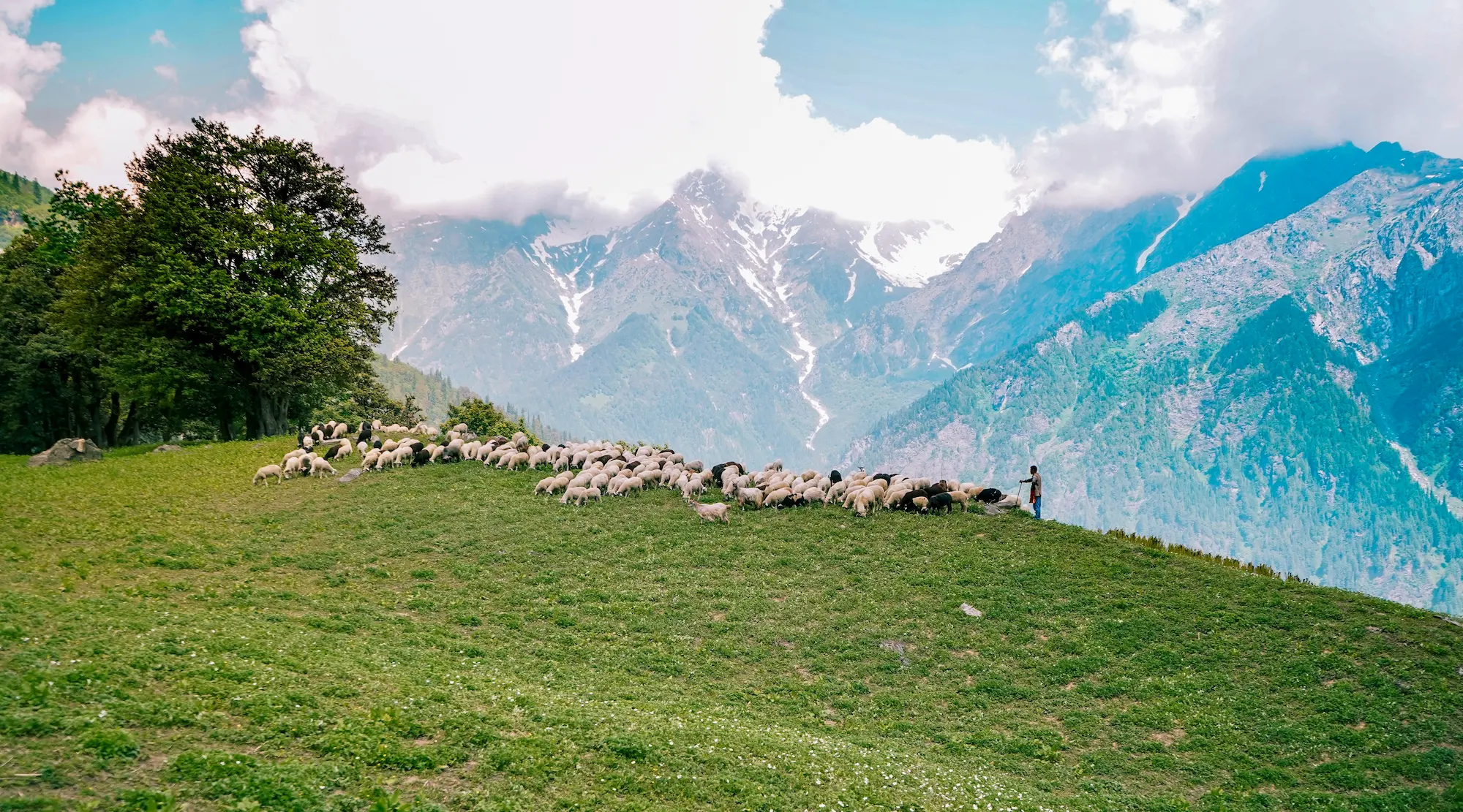 Jammu Tour Packages promotional banner