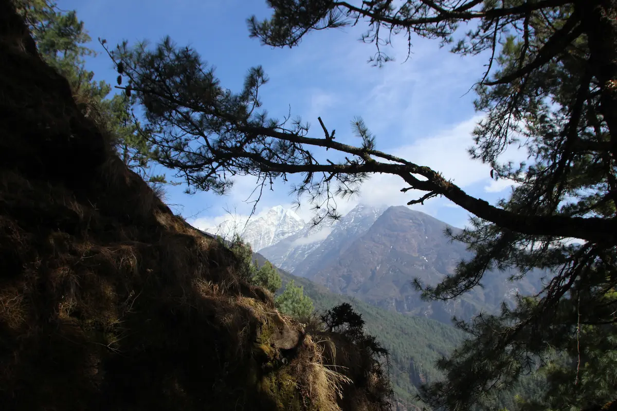 Wildlife and Nature Tour promotional banner